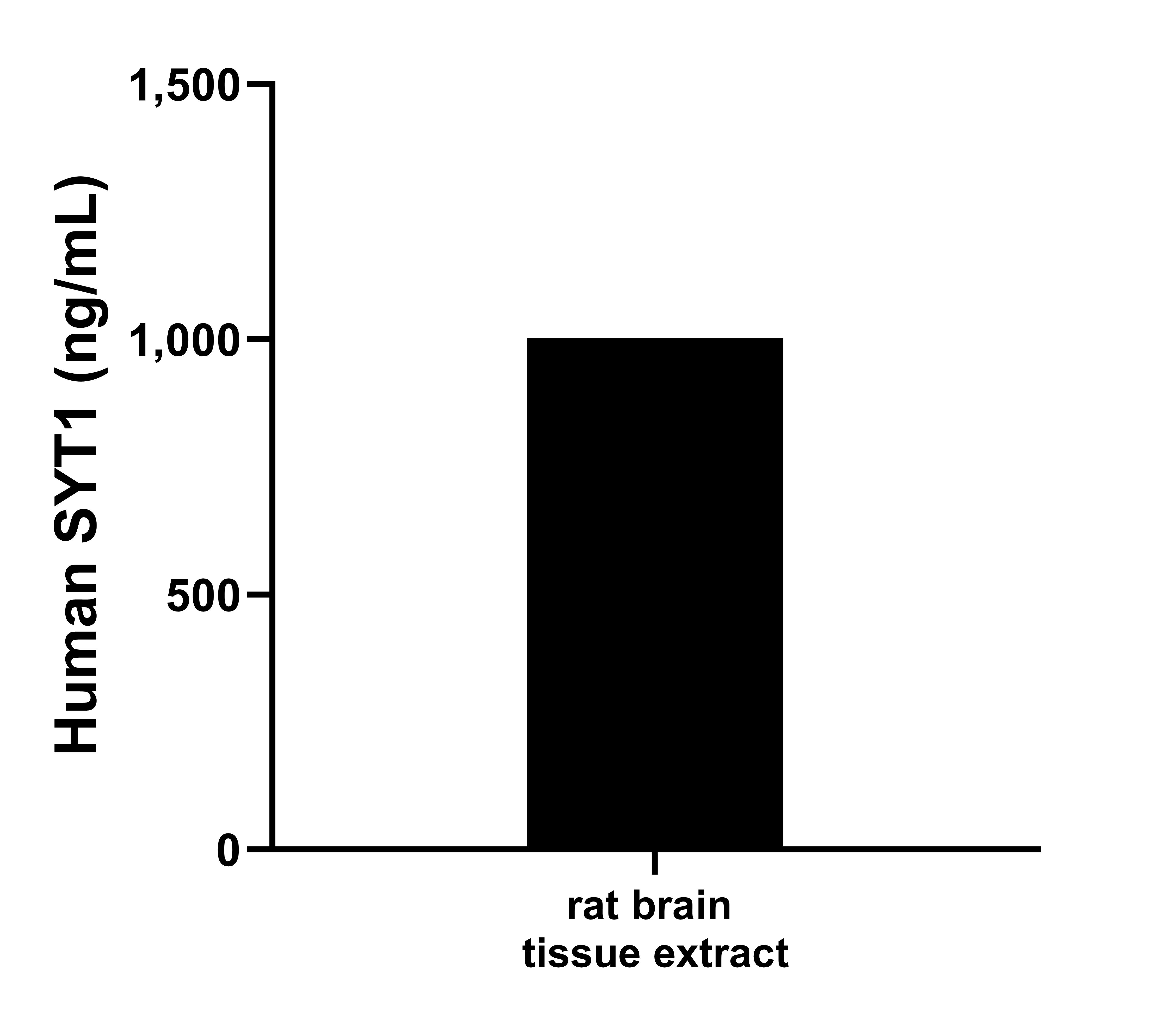 The mean human SYT1 concentration was determined to be 1,002.8 ng/mL in rat brain tissue extract based on a 3.0 mg/mL extract load.